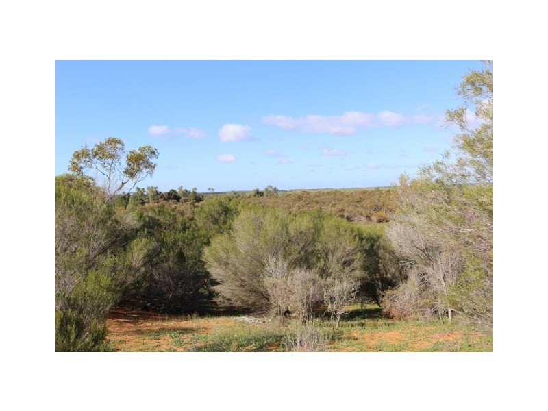 Lot 3 Enduro Road, Waikerie SA 5330