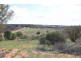 Lot 3 Enduro Road, Waikerie SA 5330