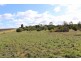 Lot 3 Enduro Road, Waikerie SA 5330