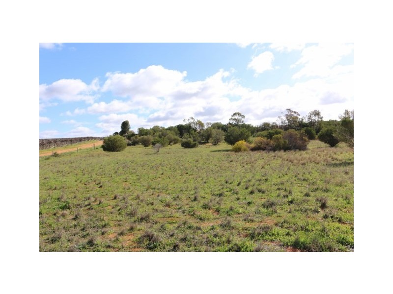 Lot 3 Enduro Road, Waikerie SA 5330