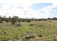 Lot 3 Enduro Road, Waikerie SA 5330