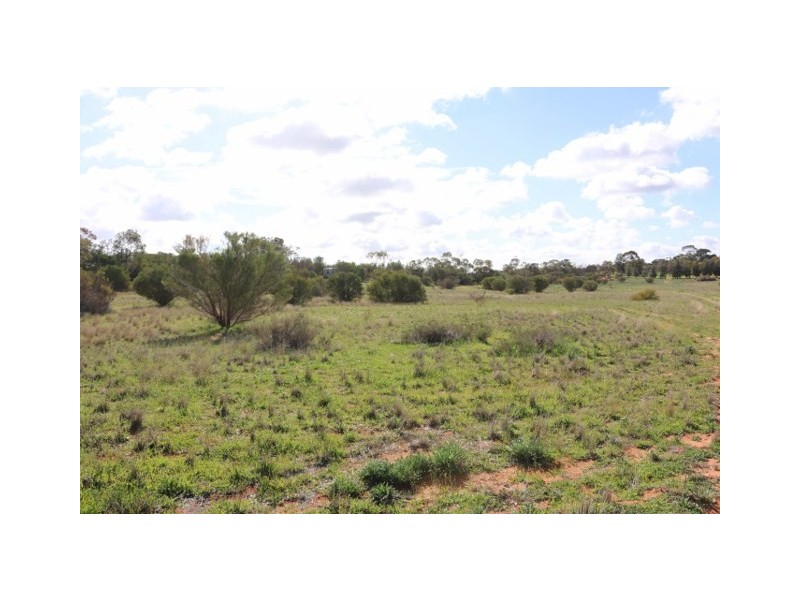 Lot 3 Enduro Road, Waikerie SA 5330