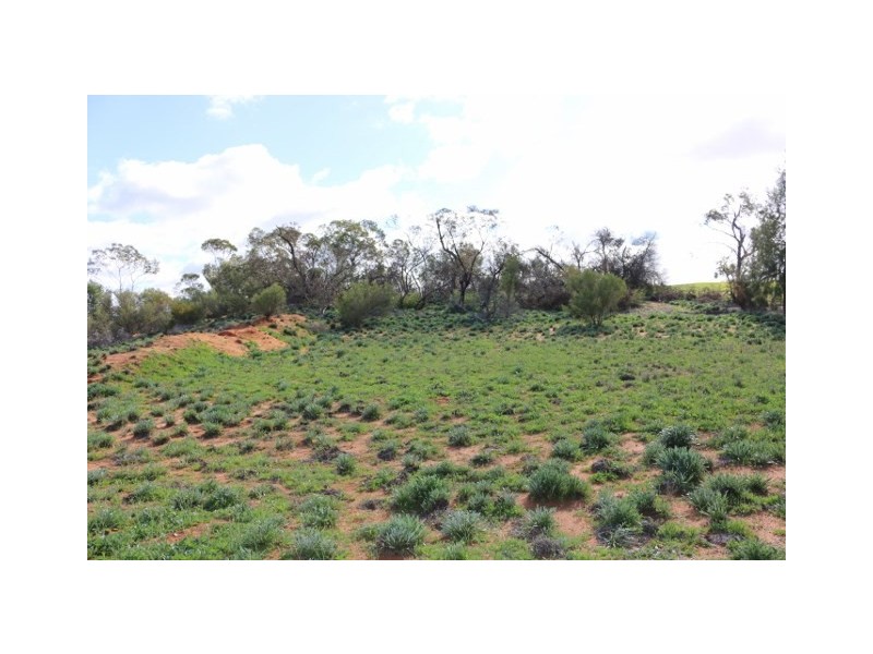 Lot 3 Enduro Road, Waikerie SA 5330
