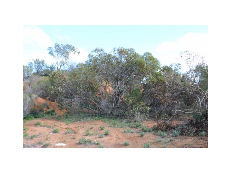 Lot 3 Enduro Road, Waikerie SA 5330