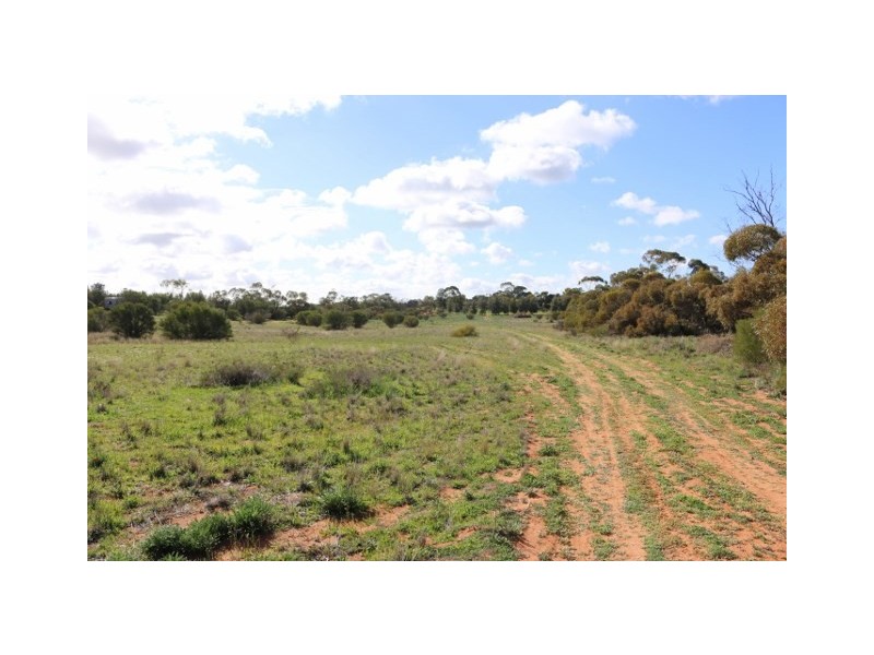 Lot 3 Enduro Road, Waikerie SA 5330
