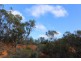 Lot 3 Enduro Road, Waikerie SA 5330