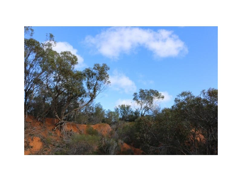 Lot 3 Enduro Road, Waikerie SA 5330