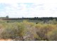Lot 3 Enduro Road, Waikerie SA 5330