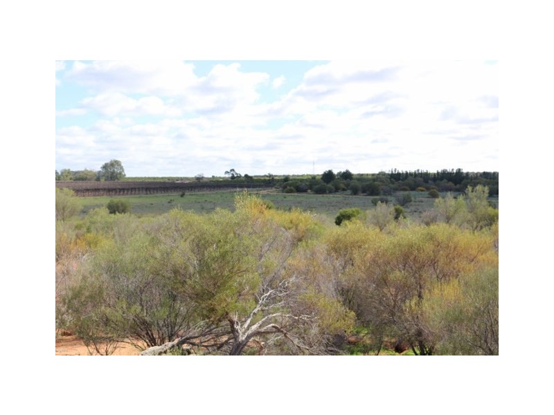 Lot 3 Enduro Road, Waikerie SA 5330
