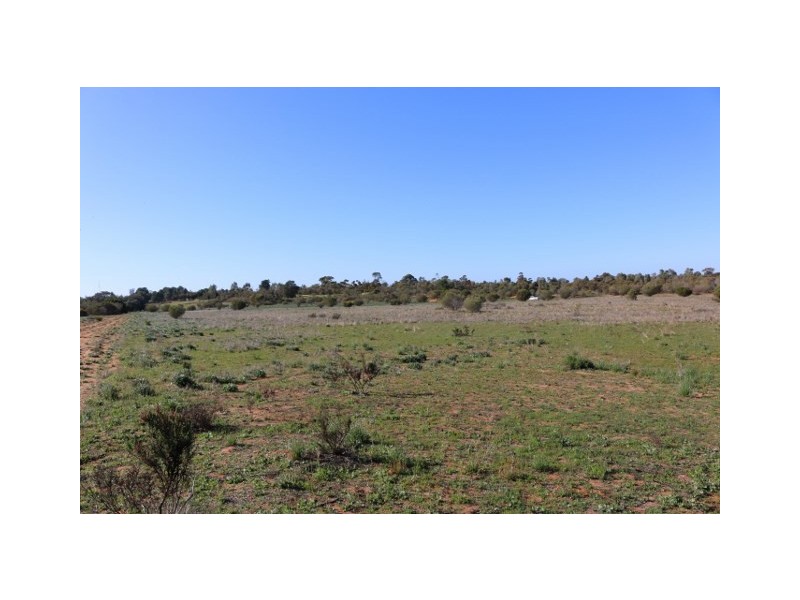 Lot 3 Enduro Road, Waikerie SA 5330
