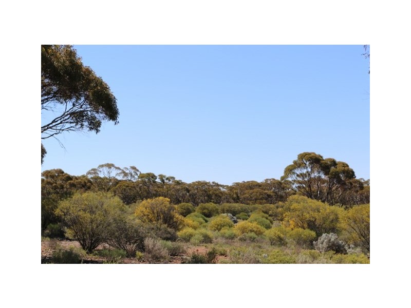 Lot 10 Winter Road, Bower SA 5374