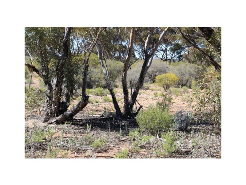 Lot 10 Winter Road, Bower SA 5374