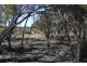 Lot 10 Winter Road, Bower SA 5374