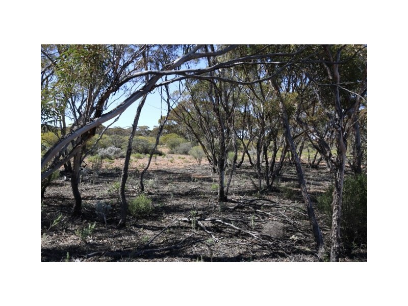 Lot 10 Winter Road, Bower SA 5374