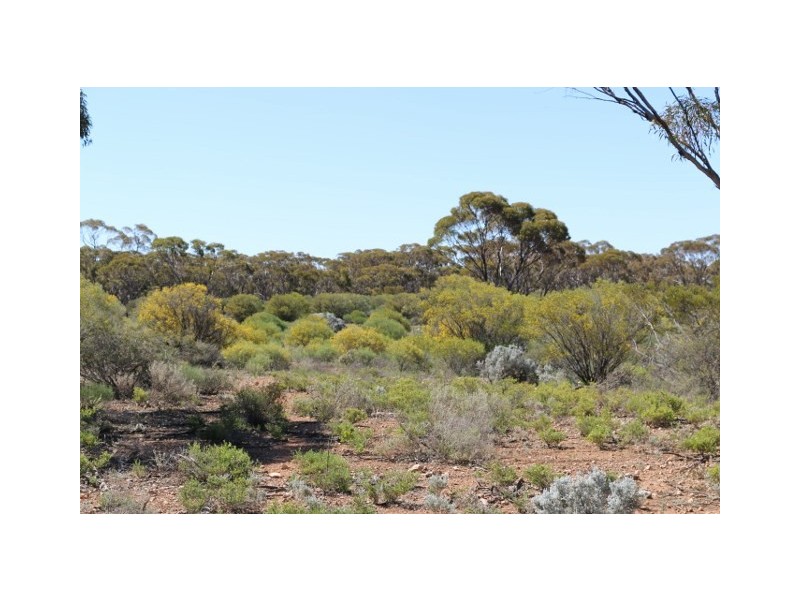 Lot 10 Winter Road, Bower SA 5374