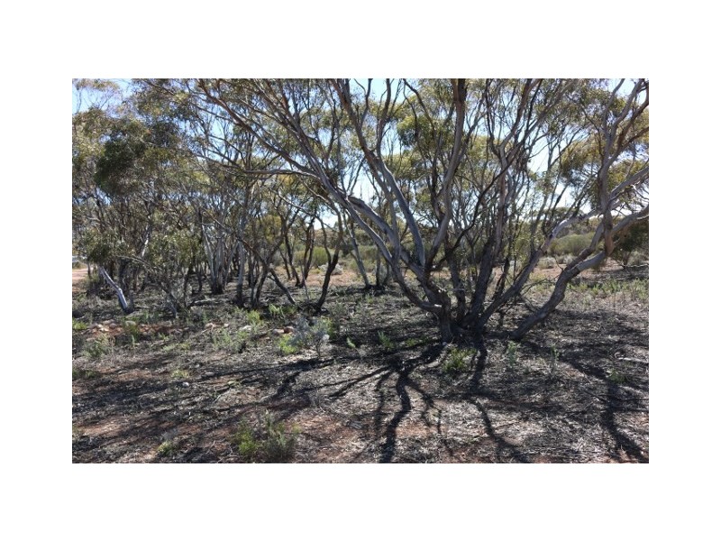 Lot 10 Winter Road, Bower SA 5374