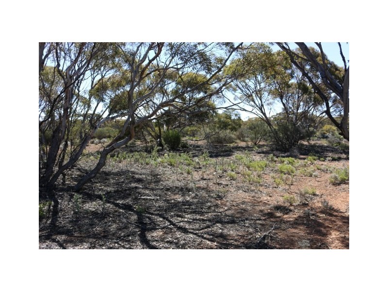 Lot 10 Winter Road, Bower SA 5374