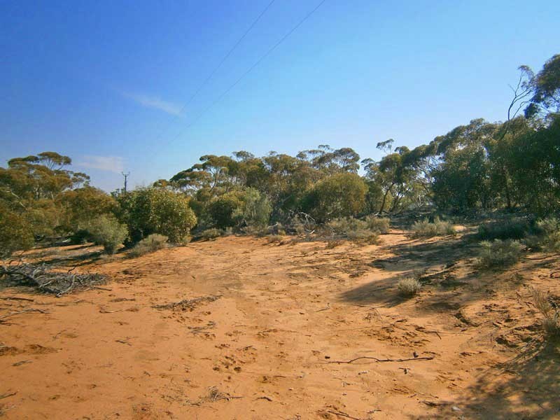 18 Murbko Road, Morgan SA 5320