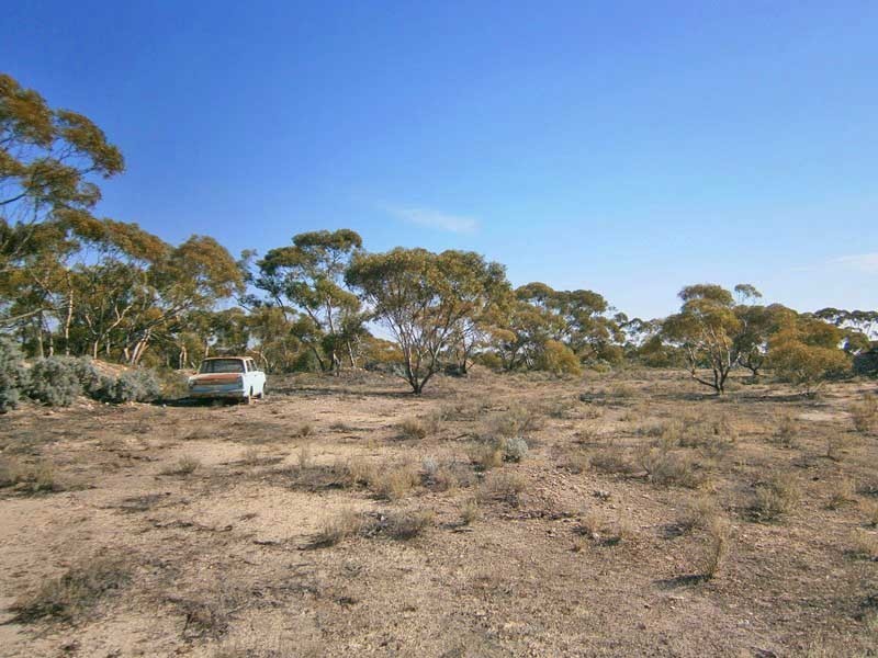 18 Murbko Road, Morgan SA 5320