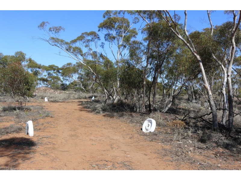 18 Murbko Road, Morgan SA 5320