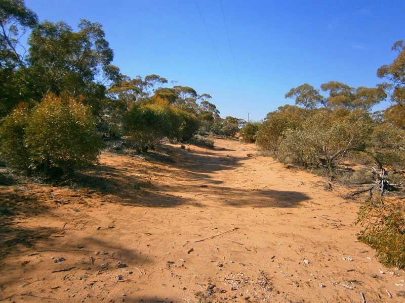 18 Murbko Road, Morgan SA 5320