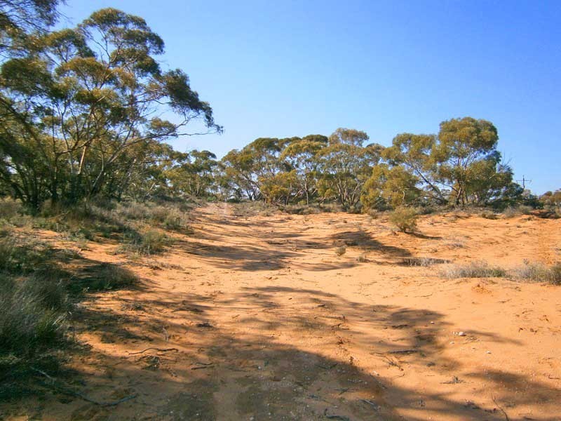 18 Murbko Road, Morgan SA 5320