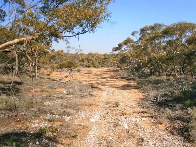 18 Murbko Road, Morgan SA 5320