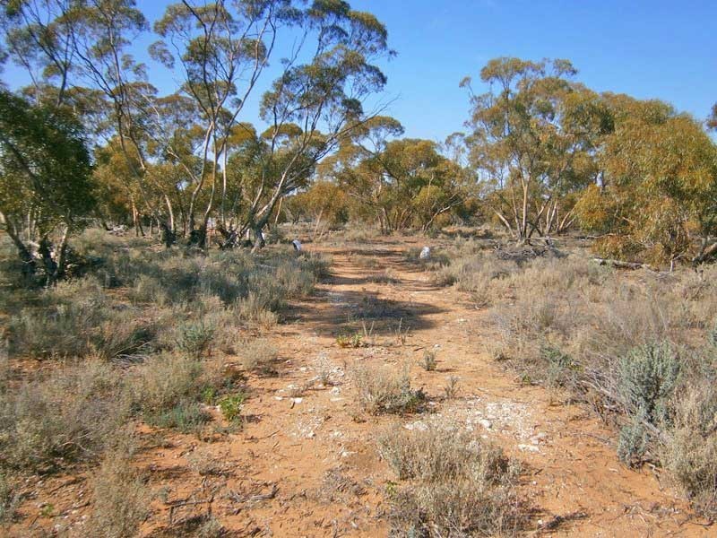 18 Murbko Road, Morgan SA 5320