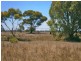 Lot 38 McKay Road, Blanchetown SA 5357