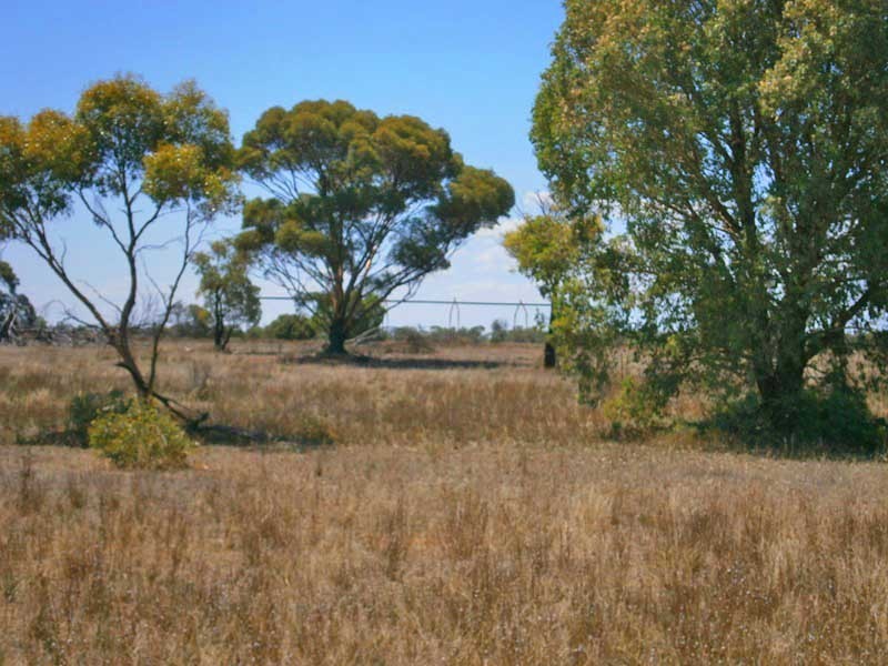Lot 38 McKay Road, Blanchetown SA 5357