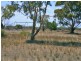 Lot 38 McKay Road, Blanchetown SA 5357