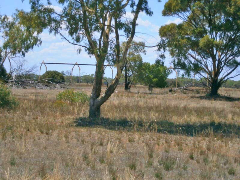 Lot 38 McKay Road, Blanchetown SA 5357