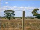 Lot 38 McKay Road, Blanchetown SA 5357