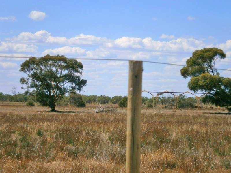 Lot 38 McKay Road, Blanchetown SA 5357