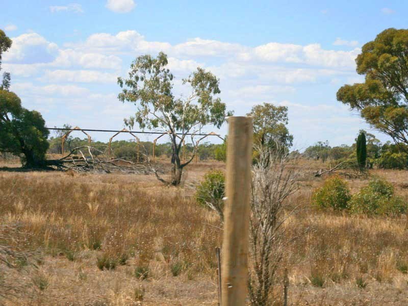 Lot 38 McKay Road, Blanchetown SA 5357