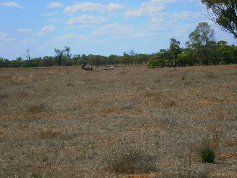 Lot 38 McKay Road, Blanchetown SA 5357