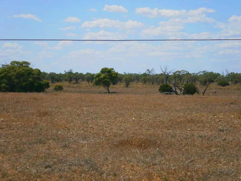 Lot 38 McKay Road, Blanchetown SA 5357