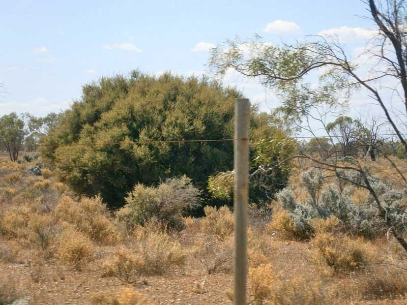 Lot 37 McKay Road, Blanchetown SA 5357