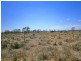 Lot 37 McKay Road, Blanchetown SA 5357