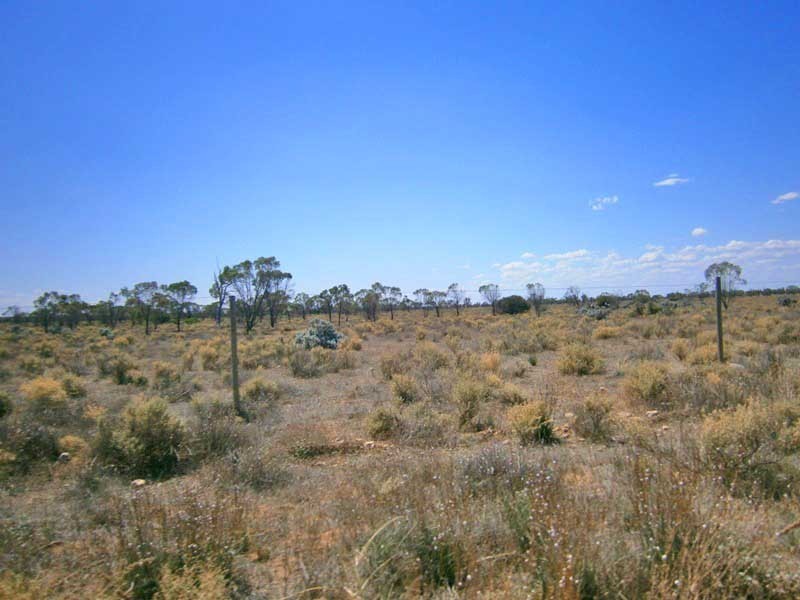 Lot 37 McKay Road, Blanchetown SA 5357