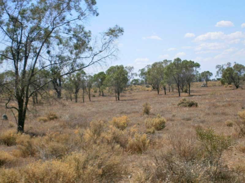 Lot 37 McKay Road, Blanchetown SA 5357