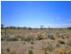 Lot 37 McKay Road, Blanchetown SA 5357