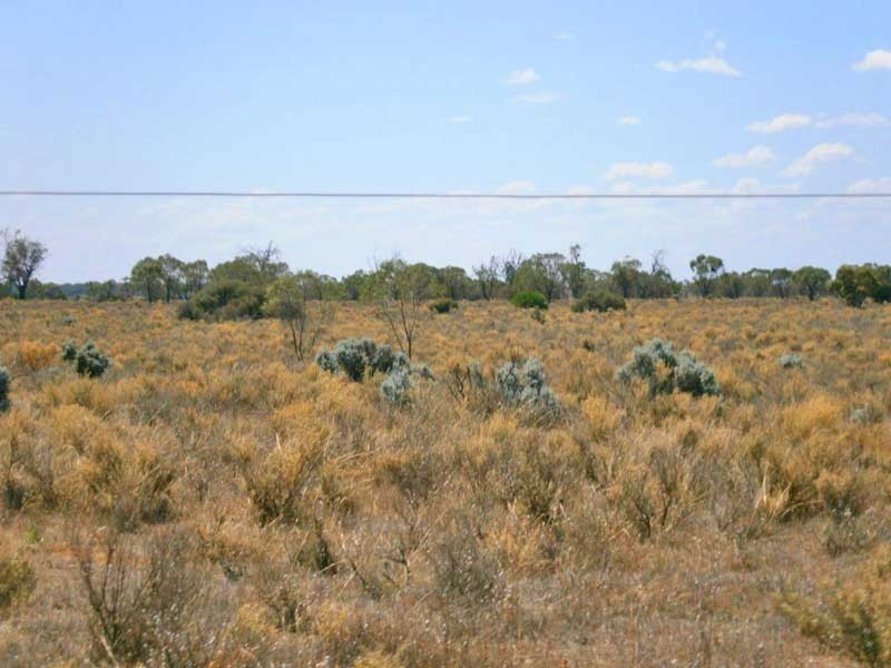 Lot 37 McKay Road, Blanchetown SA 5357