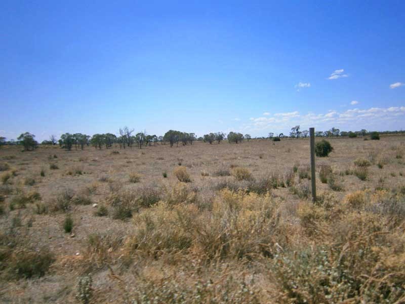 Lot 37 McKay Road, Blanchetown SA 5357