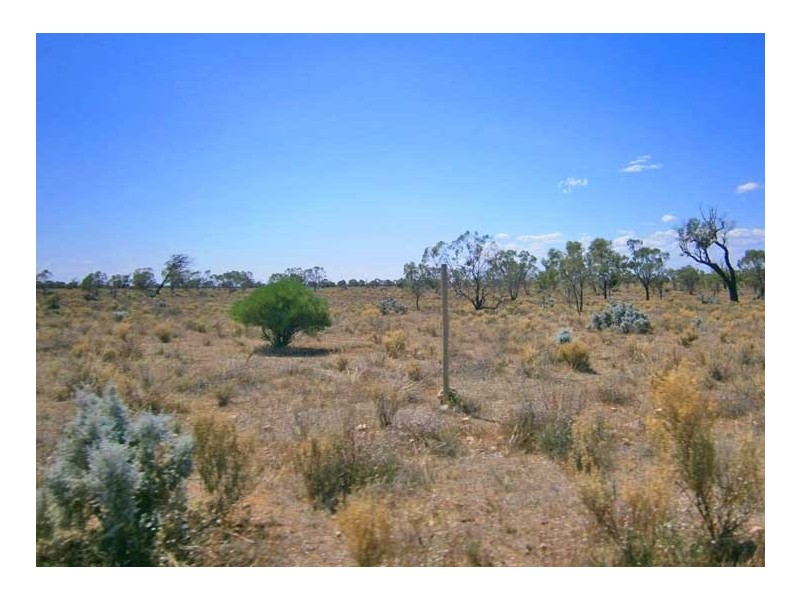 Lot 37 McKay Road, Blanchetown SA 5357