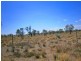 Lot 37 McKay Road, Blanchetown SA 5357