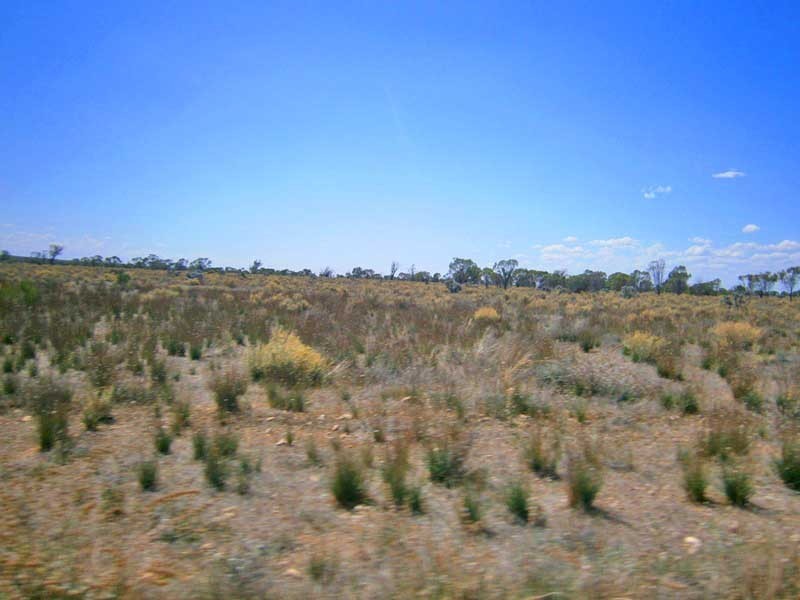 Lot 37 McKay Road, Blanchetown SA 5357