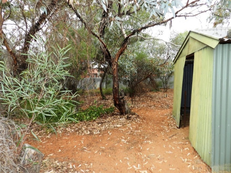 51 McGregor Street, Berri SA 5343