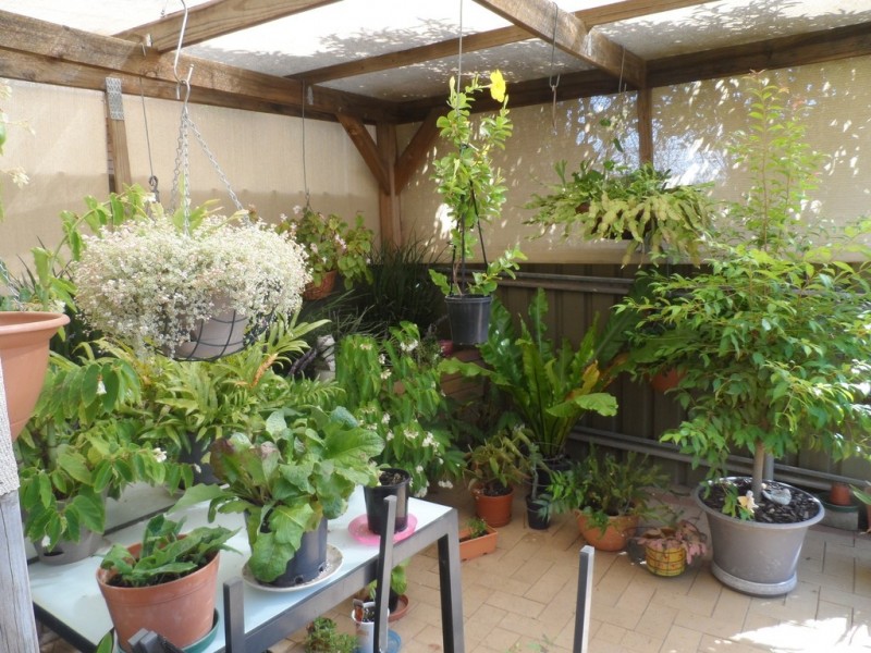 5/7 Reginald Street, Loxton SA 5333