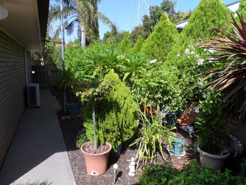 5/7 Reginald Street, Loxton SA 5333